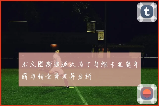 尤文图斯追逐大马丁与维卡里奥年薪与转会费差异分析